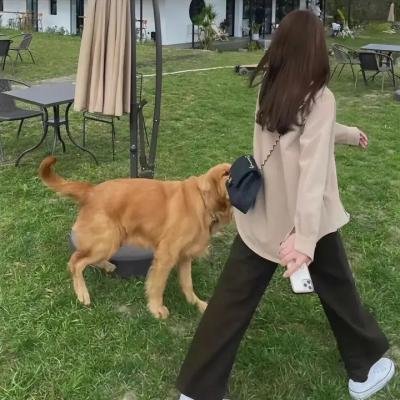 壁花少年